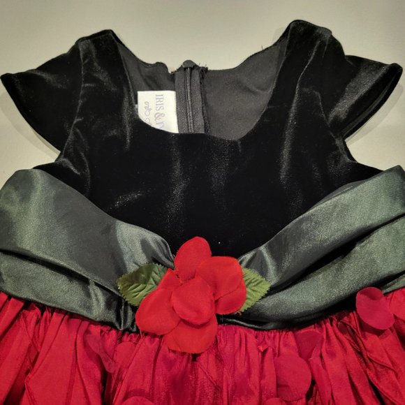 Holiday/Special Occasion dress by Iris & Ivy - Girls 3T - Picture 3 of 10